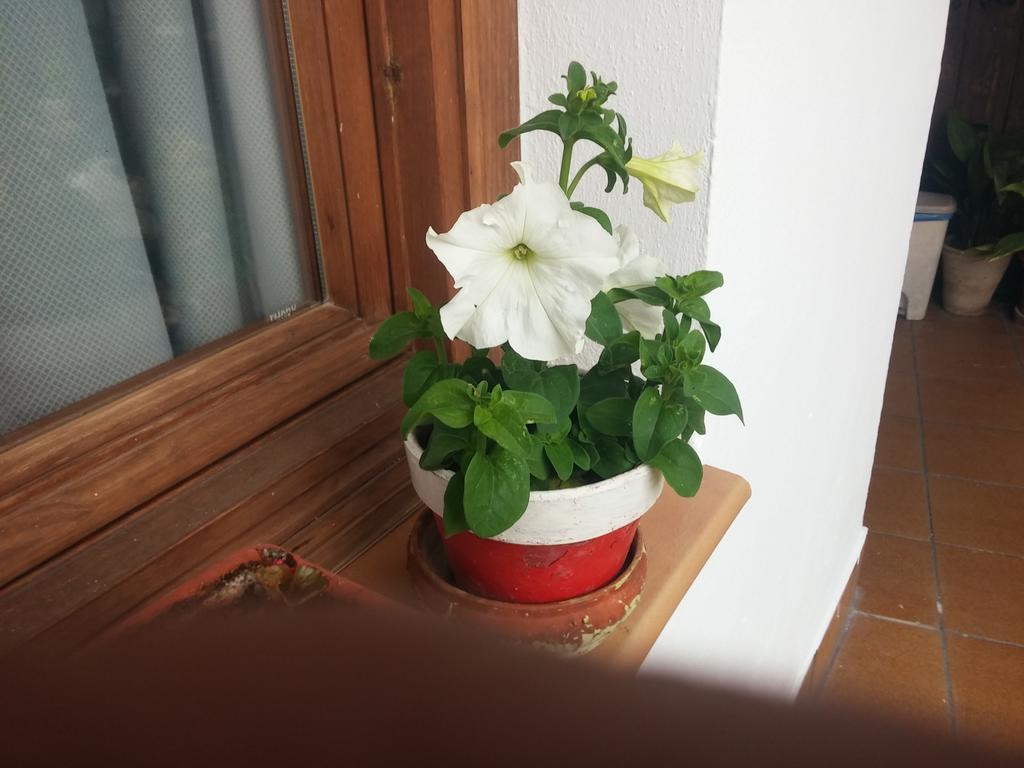 Balcon Del Velillos-"Rincon De Marcelo" Tozar エクステリア 写真