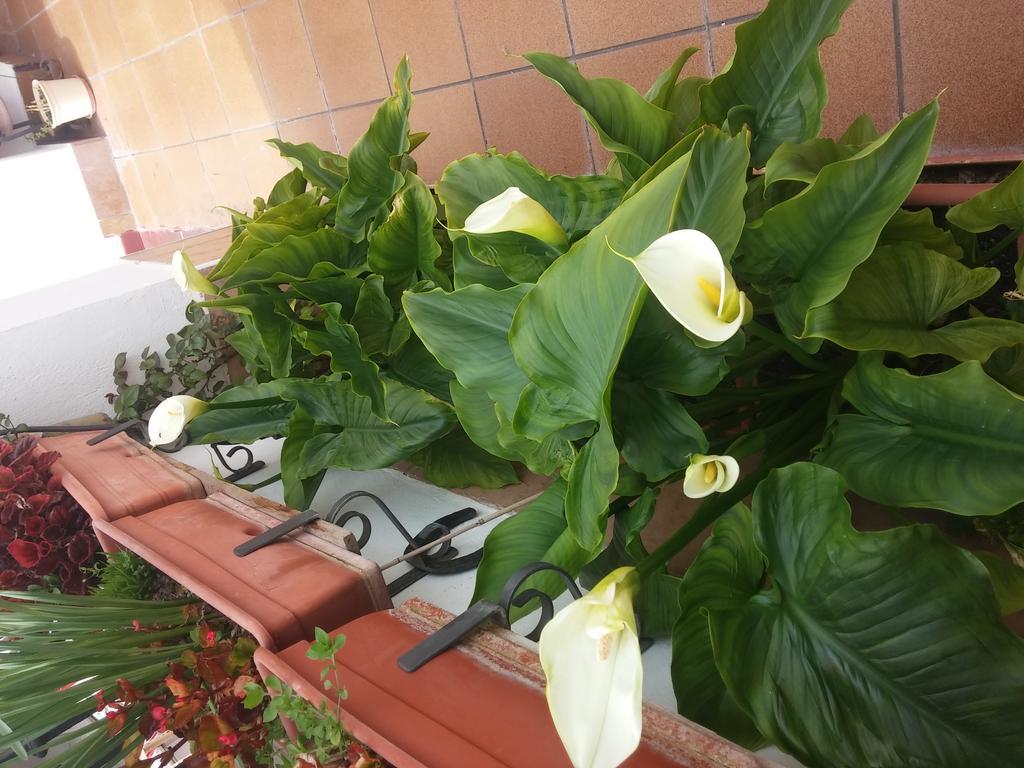 Balcon Del Velillos-"Rincon De Marcelo" Tozar エクステリア 写真